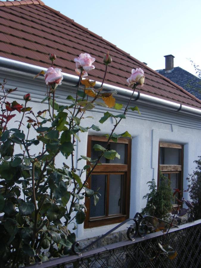 Tokaj Hill Panorama Guesthouse Szerencs Exteriér fotografie
